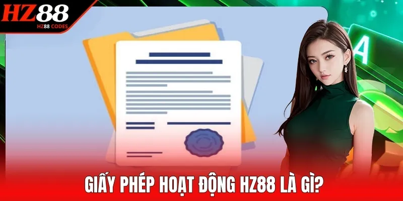 Giấy phép hoạt động HZ88 là gì?