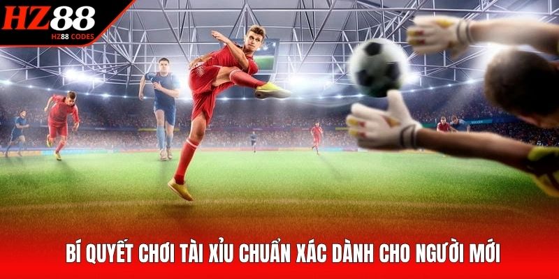 Bí quyết chơi tài xỉu chuẩn xác dành cho người mới