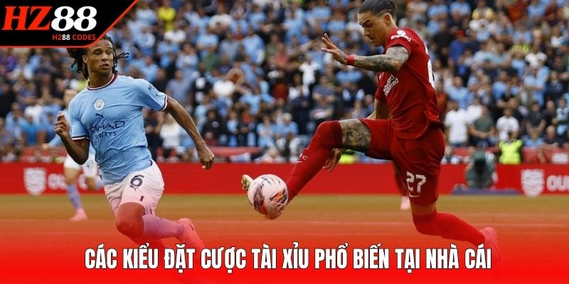 Các kiểu đặt cược tài xỉu phổ biến tại nhà cái