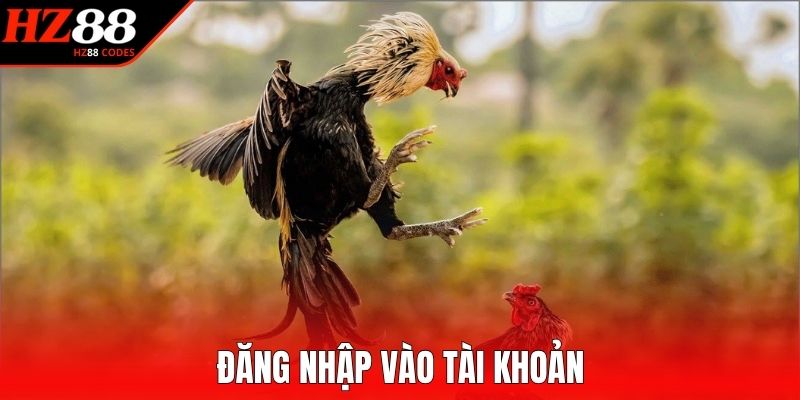 Đăng nhập vào tài khoản