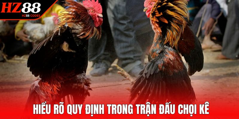 Hiểu rõ quy định trong trận đấu chọi kê