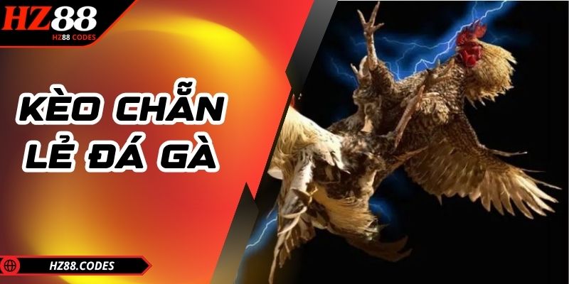 Kèo chẵn lẻ đá gà
