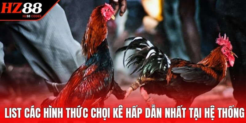List các hình thức chọi kê hấp dẫn nhất tại hệ thống