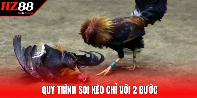 Quy trình soi kèo chỉ với 2 bước