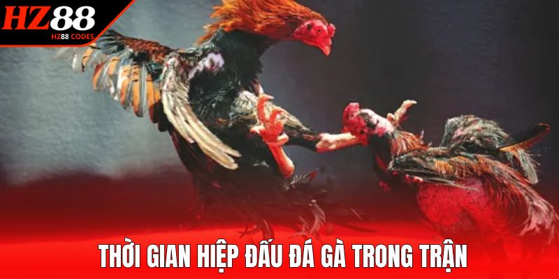 Thời gian hiệp đấu đá gà trong trận
