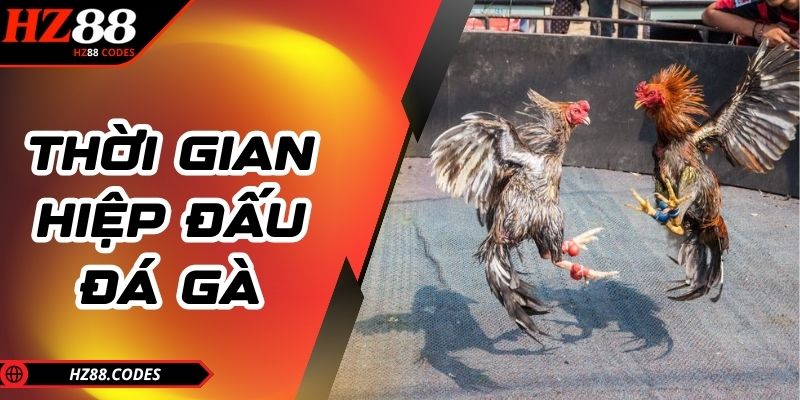 Thời gian hiệp đấu đá gà