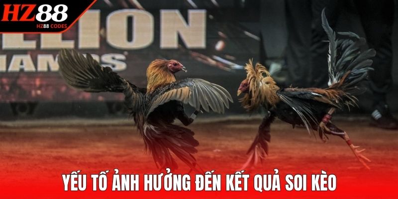 Yếu tố ảnh hưởng đến kết quả soi kèo